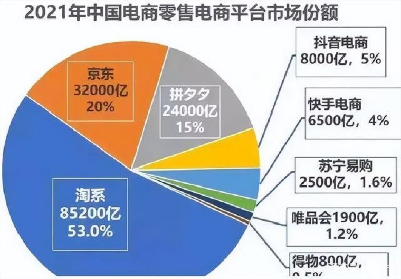 2021年垂直电商零售市场份额