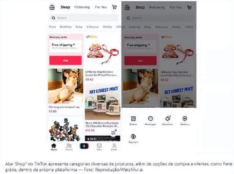 TikTok Shop